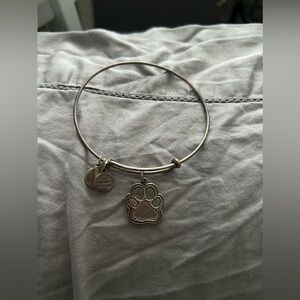 Alex and Ani Bracelet